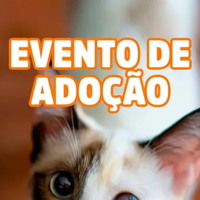 Evento de Adoção no RioMar Kennedy