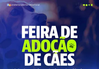 Feira de Adoção de Cães em Iturama