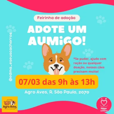 Feirinha de Adoção 'Adote um Aumigo'