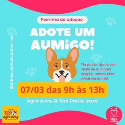 Feirinha de Adoção 'Adote um Aumigo'