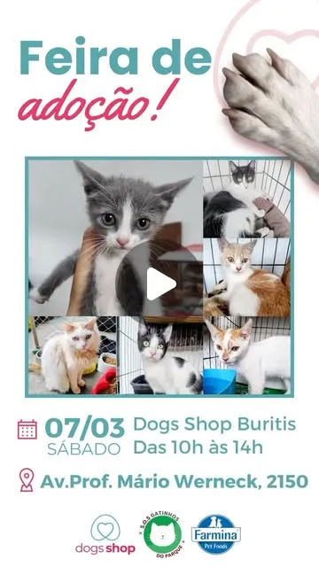 Mega Feira de Adoção Dogs Shop
