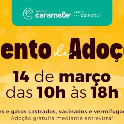 Evento de Adoção