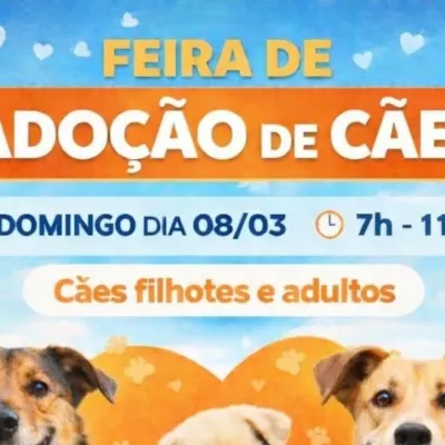 Feira de Adoção de Cães em Cerquilho