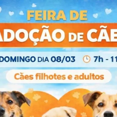 Feira de Adoção de Cães em Cerquilho