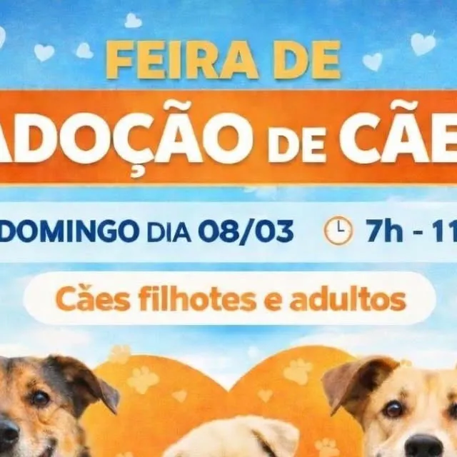 Feira de Adoção de Cães em Cerquilho