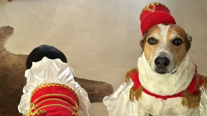 Feira de Adoção de Gatos no Nações Shopping