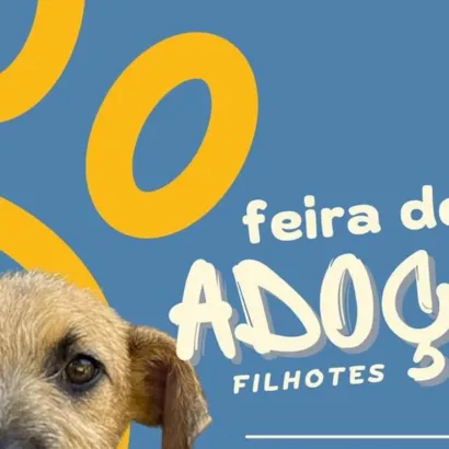 Feira de Adoção de Filhotes da Alma Vira-Lata