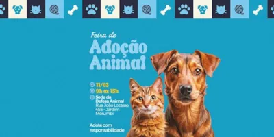 Feira de Adoção Animal em Atibaia