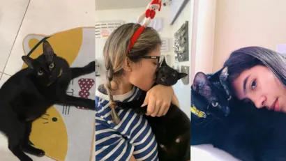 Dia Internacional do Gato Resgatado no Amapá