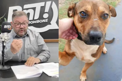 Feira de Adoção de Animais no Parque do Lago de Olarias