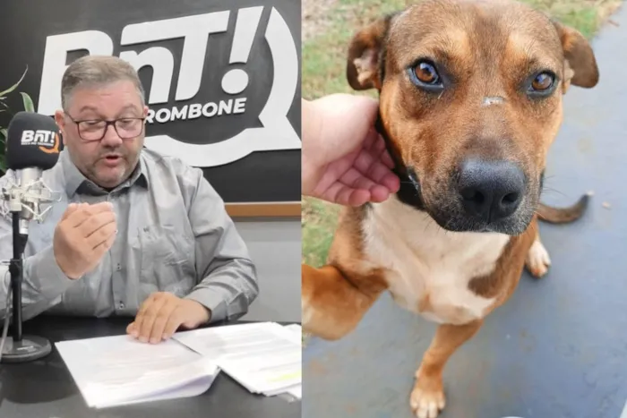 Feira de Adoção de Animais no Parque do Lago de Olarias