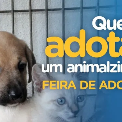Feira de Adoção de Animais