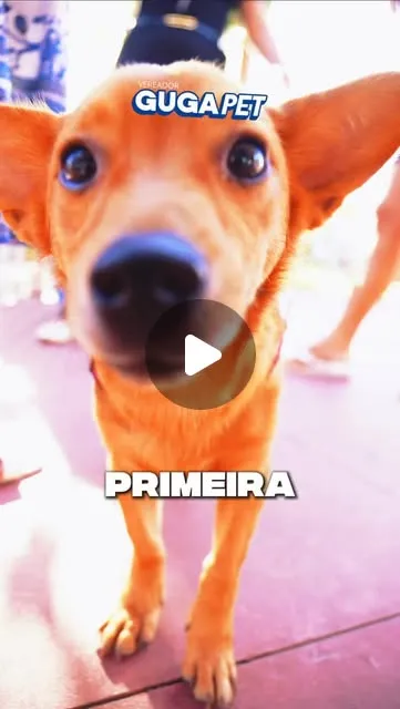 1ª Edição do Adota+PB