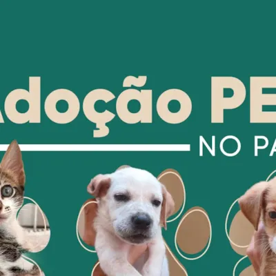 Evento de Adoção Pet no Pantanal Shopping