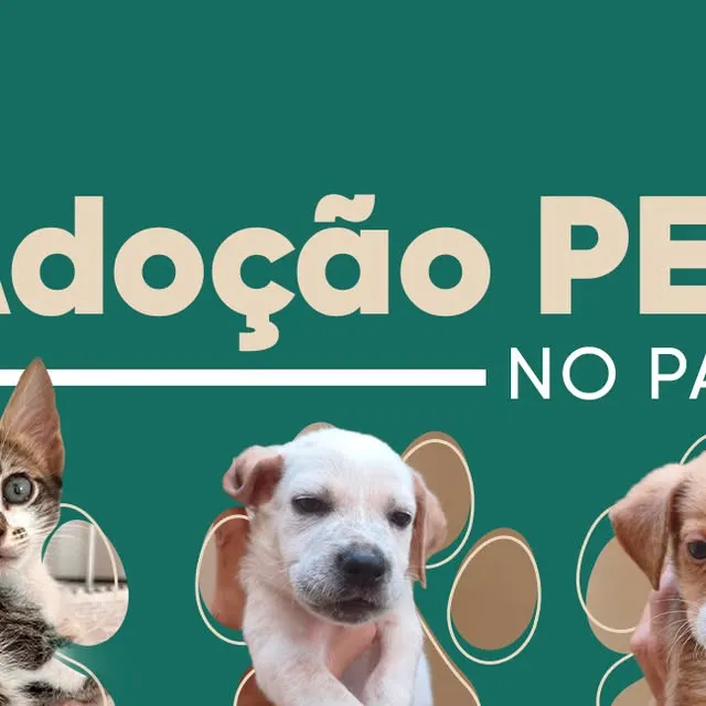 Evento de Adoção Pet no Pantanal Shopping