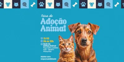 Feira de Adoção Animal em Atibaia
