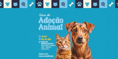 Feira de Adoção Animal em Atibaia