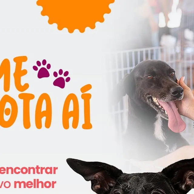 Participe da Feira de Adoção Pet “Me Adota Aí” no Boulevard Maricá e encontre seu novo melhor amigo! Evento gratuito no dia 14/03.