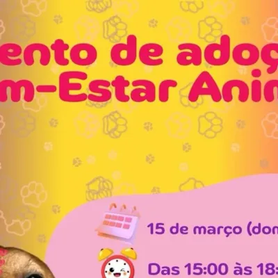 Feirinha de Adoção de Animais em Maringá
