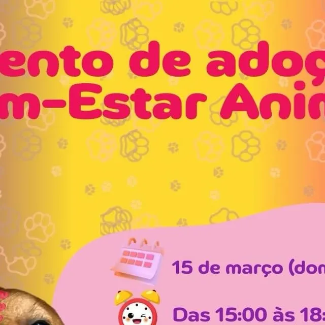 Feirinha de Adoção de Animais em Maringá no dia 15/03, das 15h às 18h na Praça da Catedral. Adote um amigo com responsabilidade!