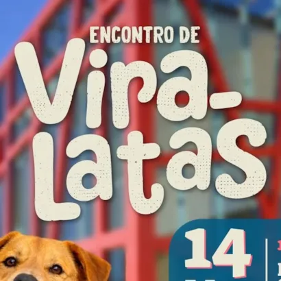 Encontro de Vira-Latas