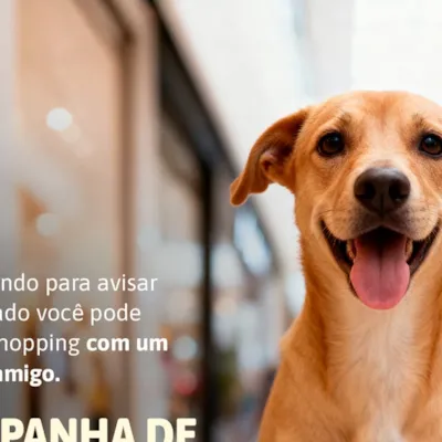 Feira de Adoção Pet no Parque Shopping Sulacap