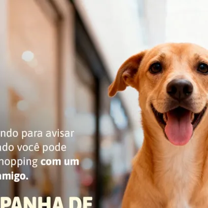Feira de Adoção Pet no Parque Shopping Sulacap