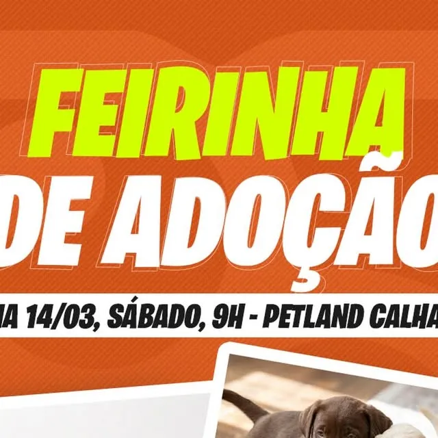 Feirinha de Adoção Petland Calhau em 14 de Março de 2026, das 9h às 12h. Adote um cão SRD e ganhe 10% de desconto em enxoval.