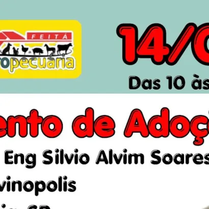 Evento de Adoção de Animais - Projeto Bichos do Gueto