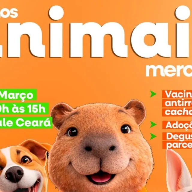 Participe do evento 'I Love Pet' no Mercale, com vacinação gratuita e adoção de cães, dia 14 de março em Rio Branco.