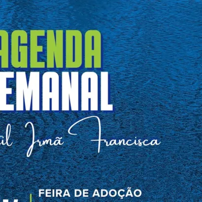 Feira de Adoção de Gatinhos