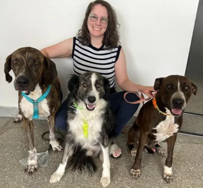 Bazar Solidário Animalis pela Causa Animal