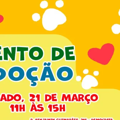 Campanha de Adoção BahaPet – Juiz de Fora!