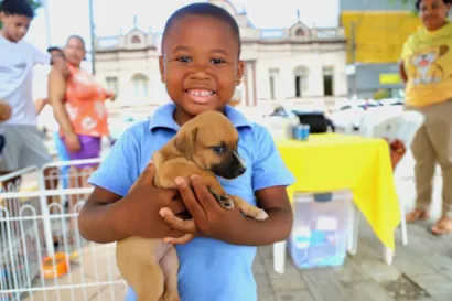 Adote Pet - Evento de Adoção de Animais