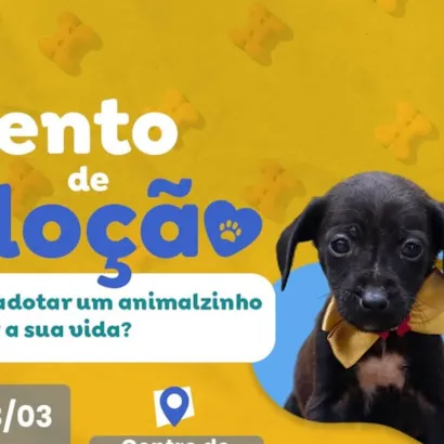 Evento de Adoção de Animais