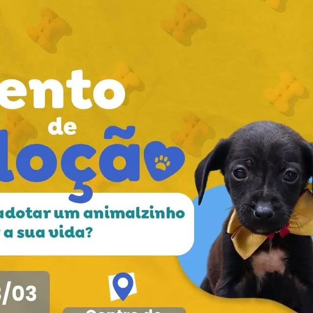 Participe do evento de adoção de animais do CAA nesta sexta-feira (13/03) e encontre seu novo companheiro. Mude uma vida, adote um amigo!