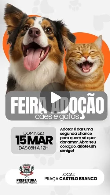 Feira de Adoção de Cães e Gatos em Campo Limpo Paulista neste domingo, 15 de março de 2026, das 8h às 12h na Praça Castelo Branco. Adote um amigo!
