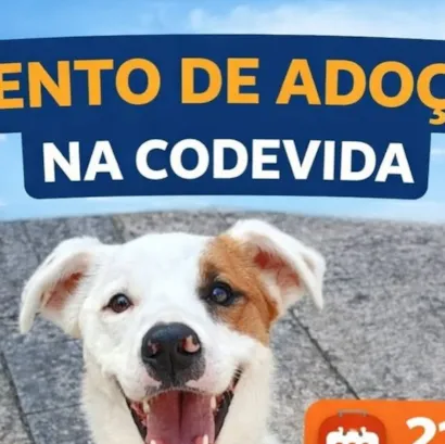 Evento de Adoção na Codevida