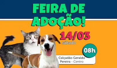 Feira de Adoção de Pets em Colatina