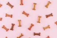 Transição para Alimentação Natural de Pets | Adotar