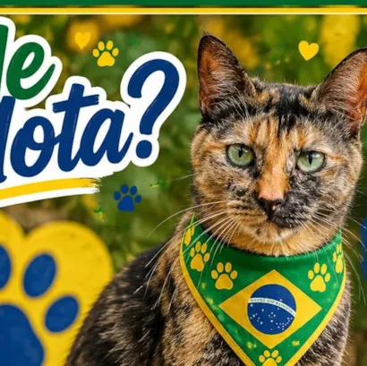 GRANDE FEIRA DE ADOÇÃO NO ABRIGO!
