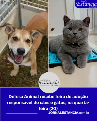 10ª Feirinha de Adoção Responsável de Cães e Gatos em Atibaia