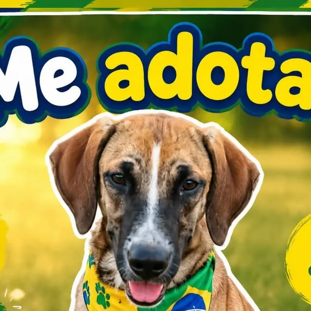 Participe da Grande Feira de Adoção no Abrigo Animais Carentes ES em 23/05. Milhares de animais esperam por um lar e amor.