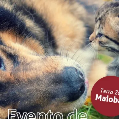 Adoção de Cães e Gatos + Vacinação Antirrábica Gratuita!