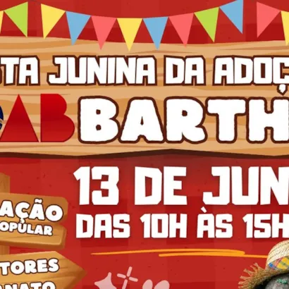Festa Junina da Adoção - Barthô