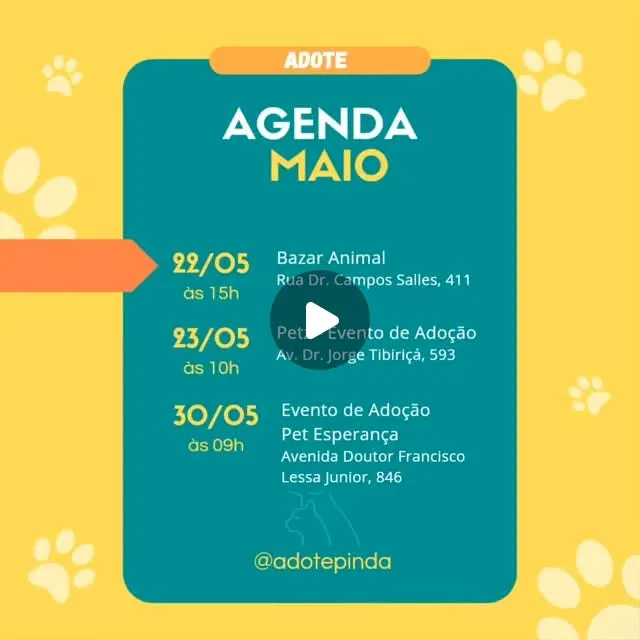 Participe de eventos de adoção de animais em Pinda durante maio! Confira a agenda e ajude a dar um lar a esses pequenos.