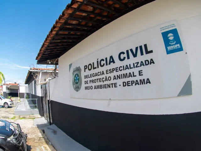 Participe do evento de adoção de animais resgatados pela Depama. Dê uma nova chance a quem precisa de um lar.