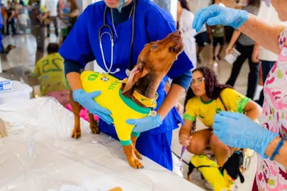 Universo Pet: Evento Gratuito com Adoção, Puppy Yoga e Diversão para Cães e Tutores no Shopping Estação BH