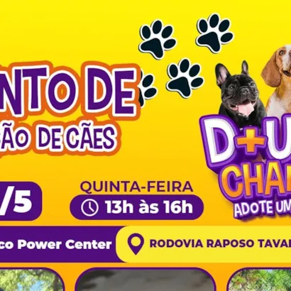 Evento de Adoção de Cães