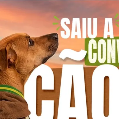 Feira de Adoção de Animais